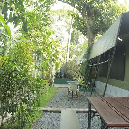 Traveler'S Haven Hostel At Colombo Intl Airport Katunayaka Dış mekan fotoğraf