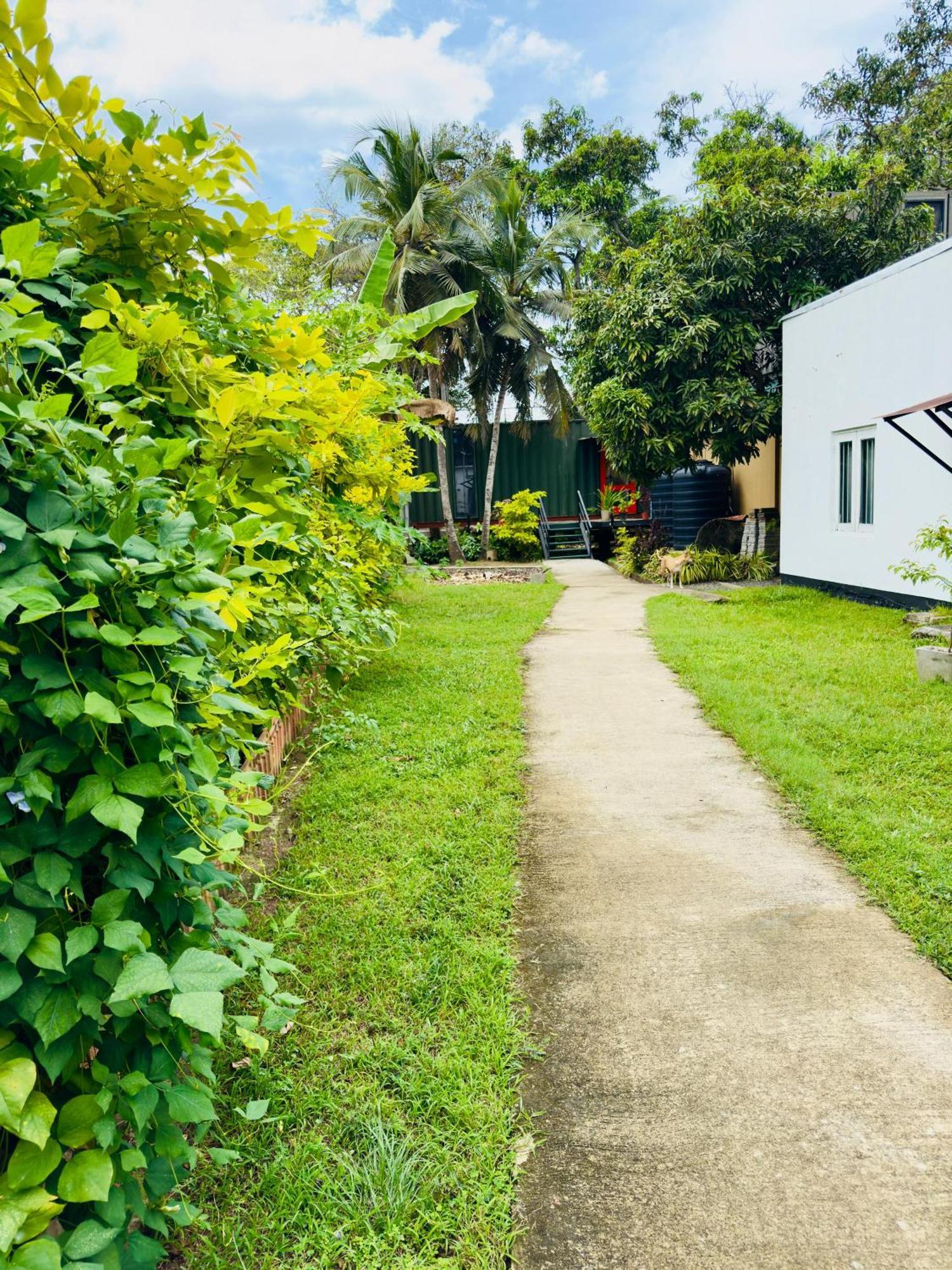 Traveler'S Haven Hostel At Colombo Intl Airport Katunayaka Dış mekan fotoğraf